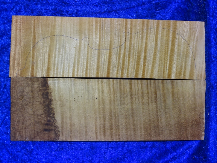 maple 3918 from estate min 50 years