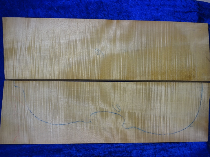 klasse Ahorn 3940 aus Nachlass