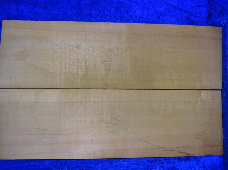 very old spruce 3963 from estate