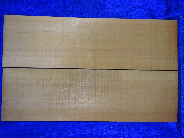 very old spruce 3964 from estate