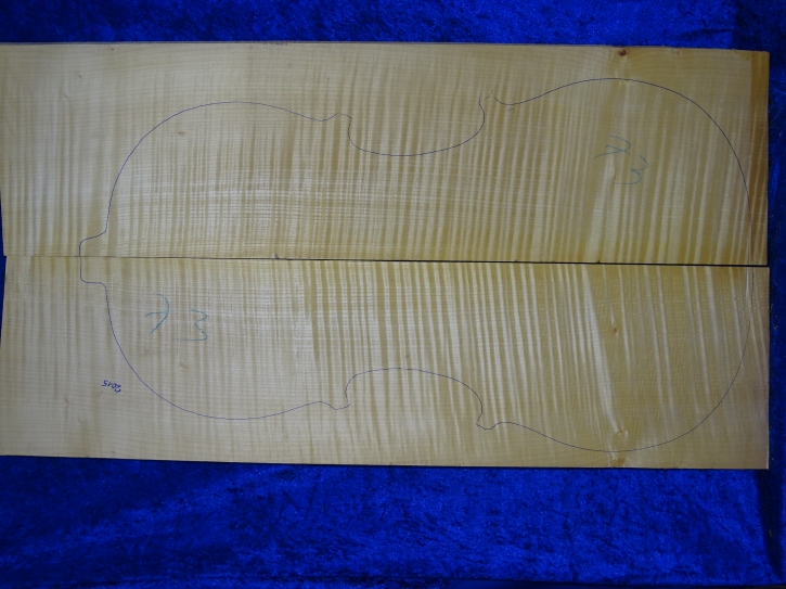 Ahorn 3974 Cello