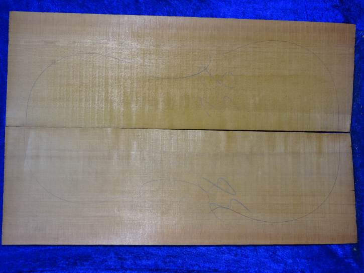 very old spruce 3977 from estate