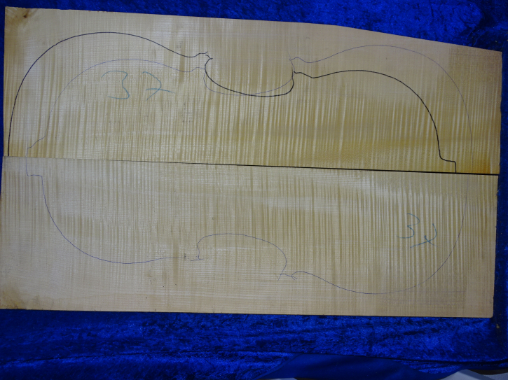 Ahorn 3979 Cello