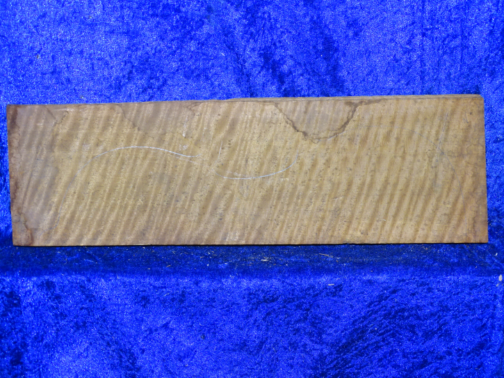 Ahorn 3983 aus Nachlass