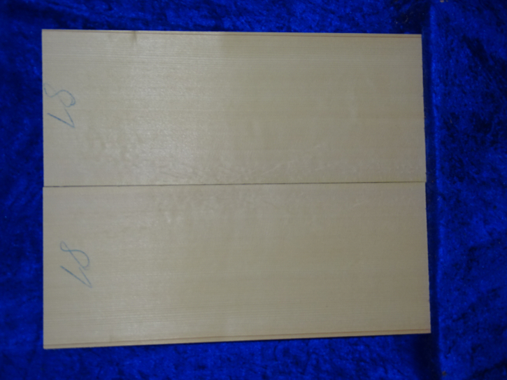 Fichte 4031 Gitarre Hasel