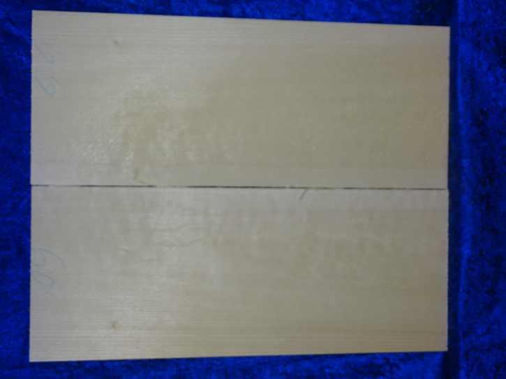 Fichte 4032 Gitarre Hasel