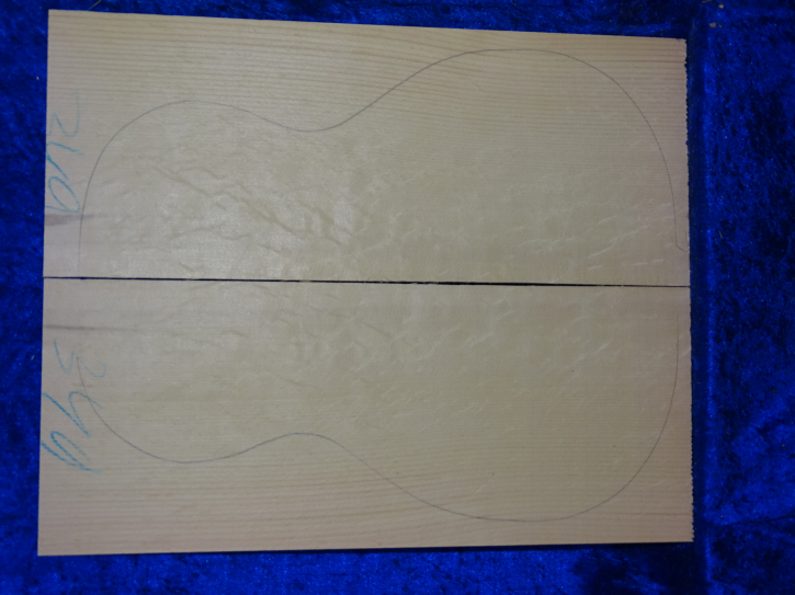 Fichte 4033 Gitarre Hasel