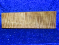 Ahorn 2839 aus Nachlass