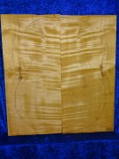 Maple 3123 Guitar