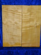 Maple 3123 Guitar