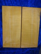 Maple 3171 Guitar