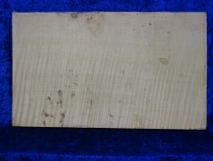 one-piece back 3429 top quality