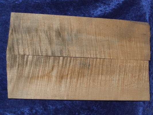 Ahorn 2365 aus Nachlass