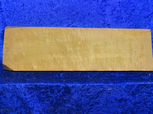 Ahorn 2416 aus Nachlass