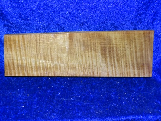 Ahorn 2839 aus Nachlass