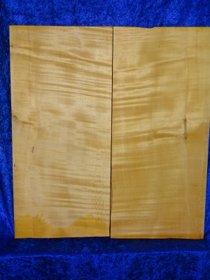 Maple 3123 Guitar
