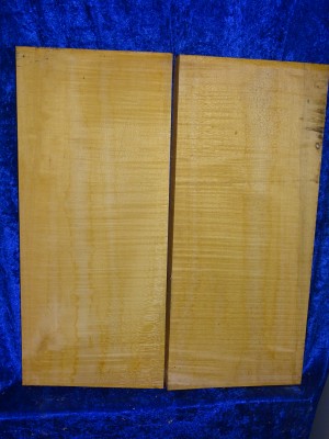 Maple 3171 Guitar