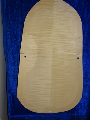 carved old cello back 3230