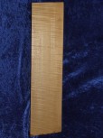 maple 1579