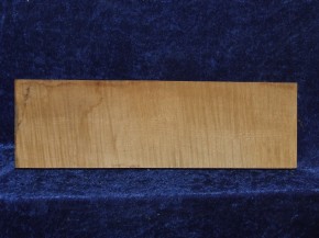 Ahorn 2932