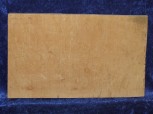Muschelahorn 3051
