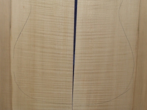 Ahorn 3200 Gitarre