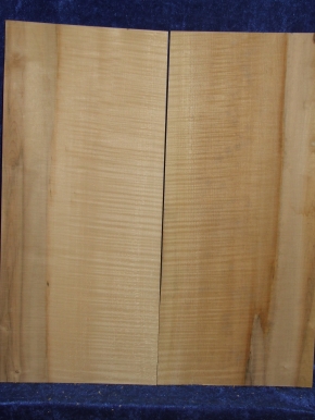 Ahorn 3200 Gitarre
