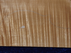 maple 3477