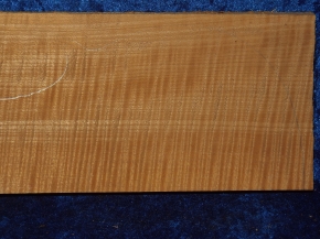 Ahorn 2736 aus Nachlass