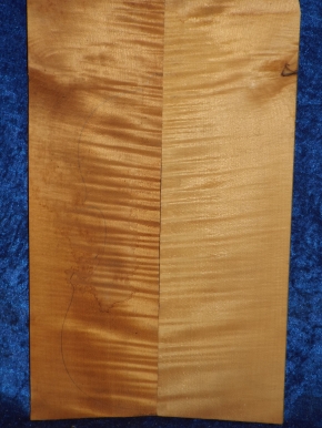 maple 1285 from estate
