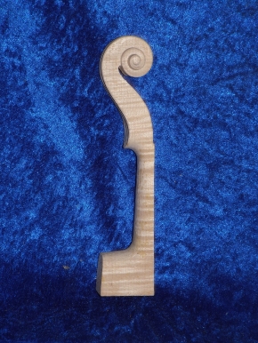 1/2 Violinneck 3973