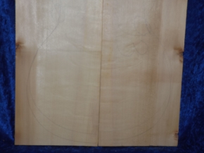 alte Fichte 4116  Hasel