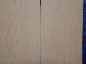 Fichte 1215 Hasel