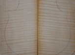 maple 3684 from estate