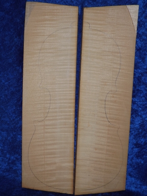 Ahorn 1105 aus Nachlass