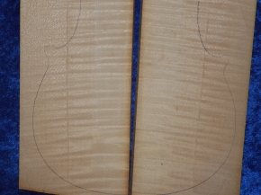 Ahorn 1105 aus Nachlass