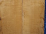 Ahorn 4412 Cello