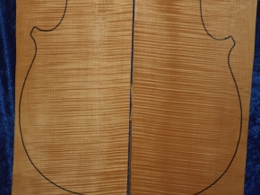 Ahorn 4493 Cello