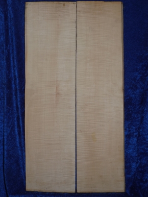 Ahorn 4493 Cello