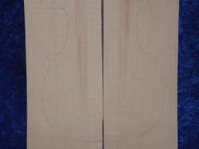 Spruce 2183 bearclaw