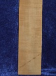 maple 1102