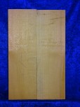 Spruce 1969 Va bearclaw