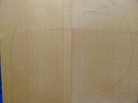 alte Fichte 2408