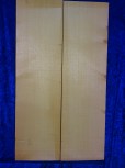 alte Fichte 2408