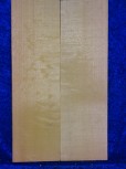Spruce 4302 bearclaw