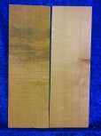 Spruce 4523 Va bearclaw