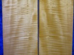 Ahorn 2885 Cello