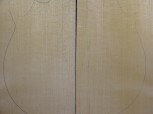 alte Fichte 2919