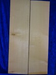 alte Fichte 2919