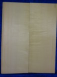 Fichte 2951 Gitarre Hasel